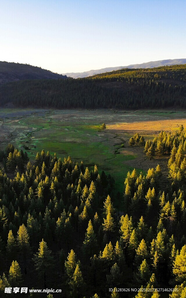 俯瞰葱郁山林与开阔草地
