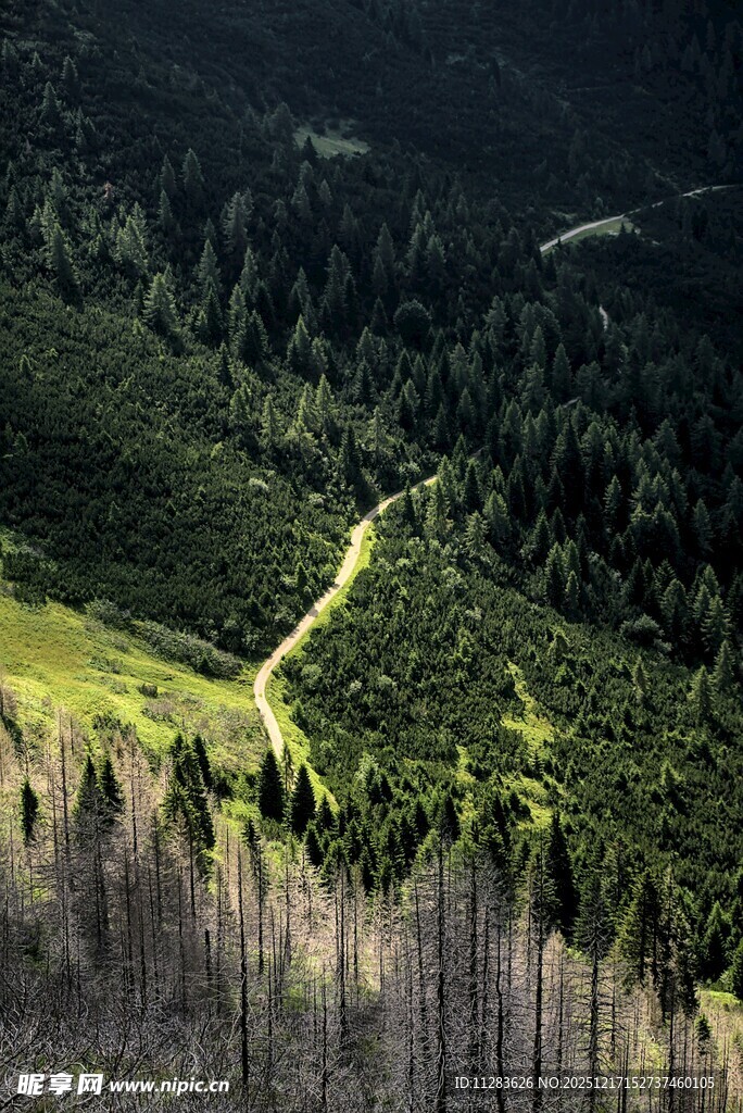 山间蜿蜒小路穿翠绿山林