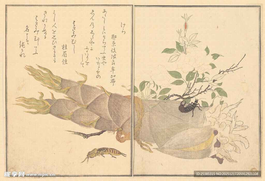 日式花鸟鱼虫古画