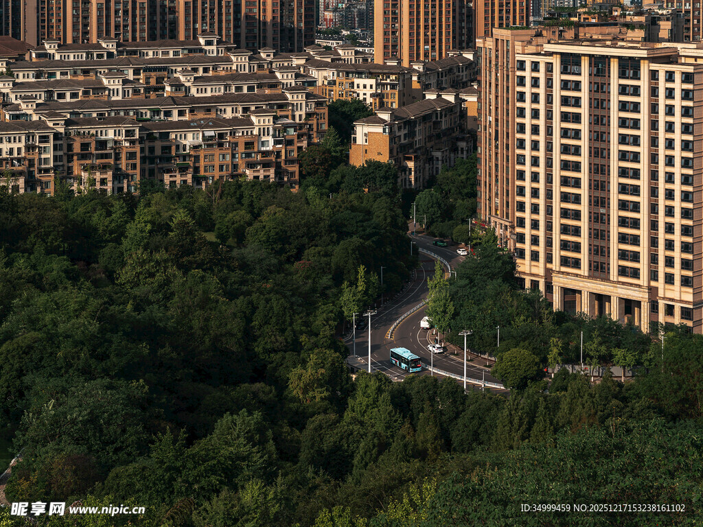 城市中的绿树环绕住宅区