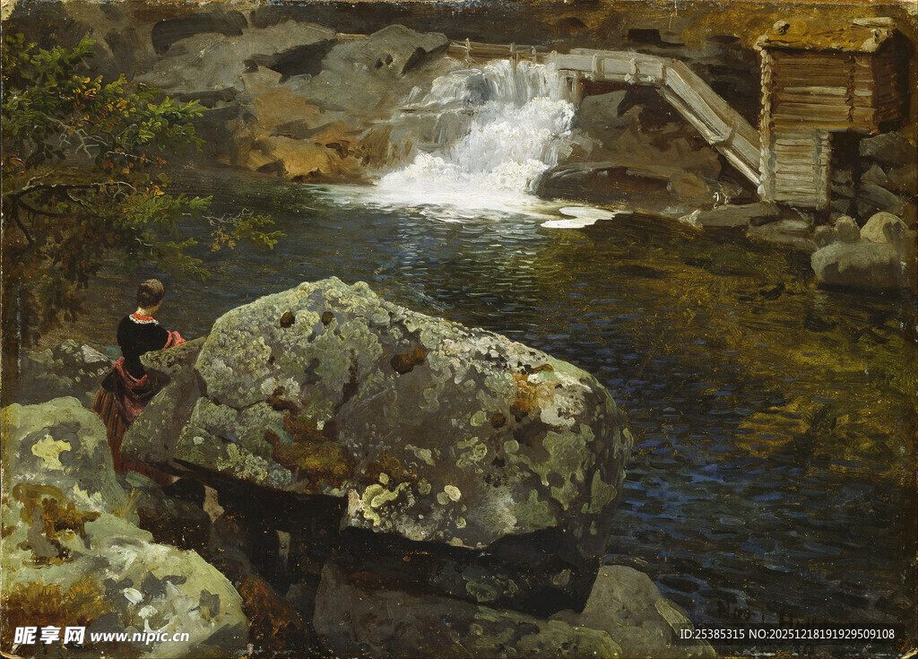 山间溪流旁的静谧景致