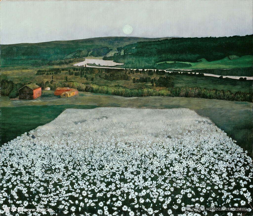 大片白色花海的田园风光