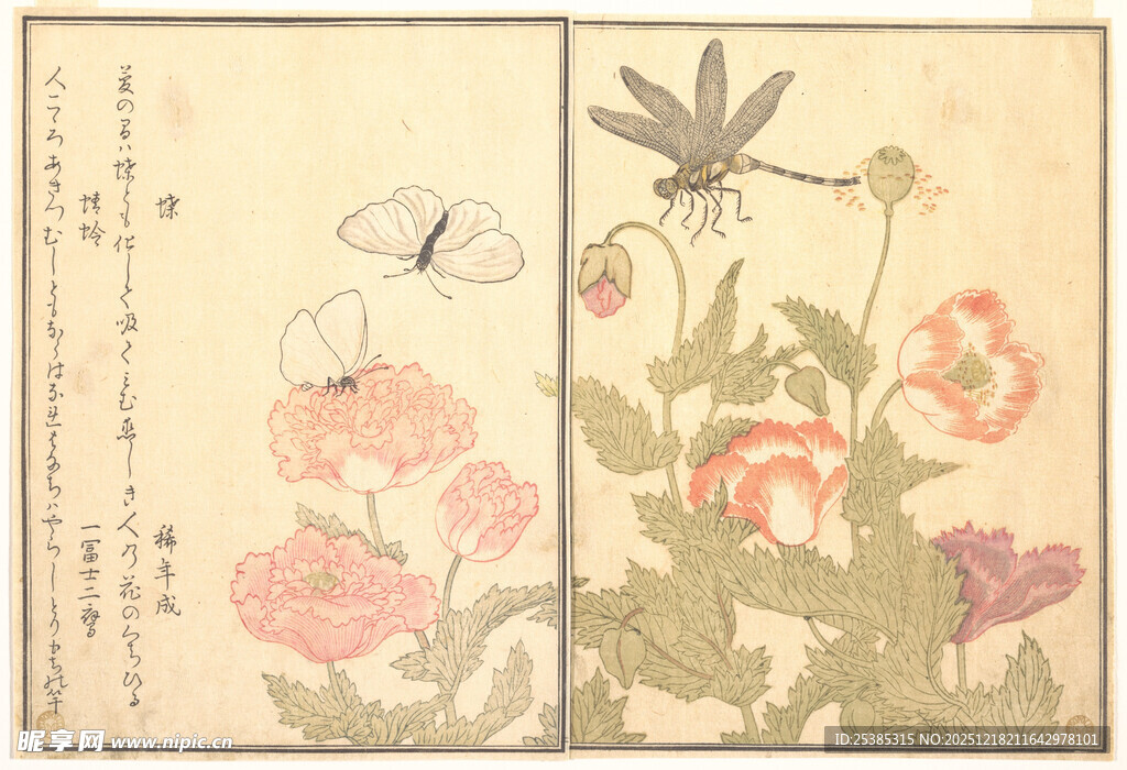 古风花卉蝴蝶绘画作品