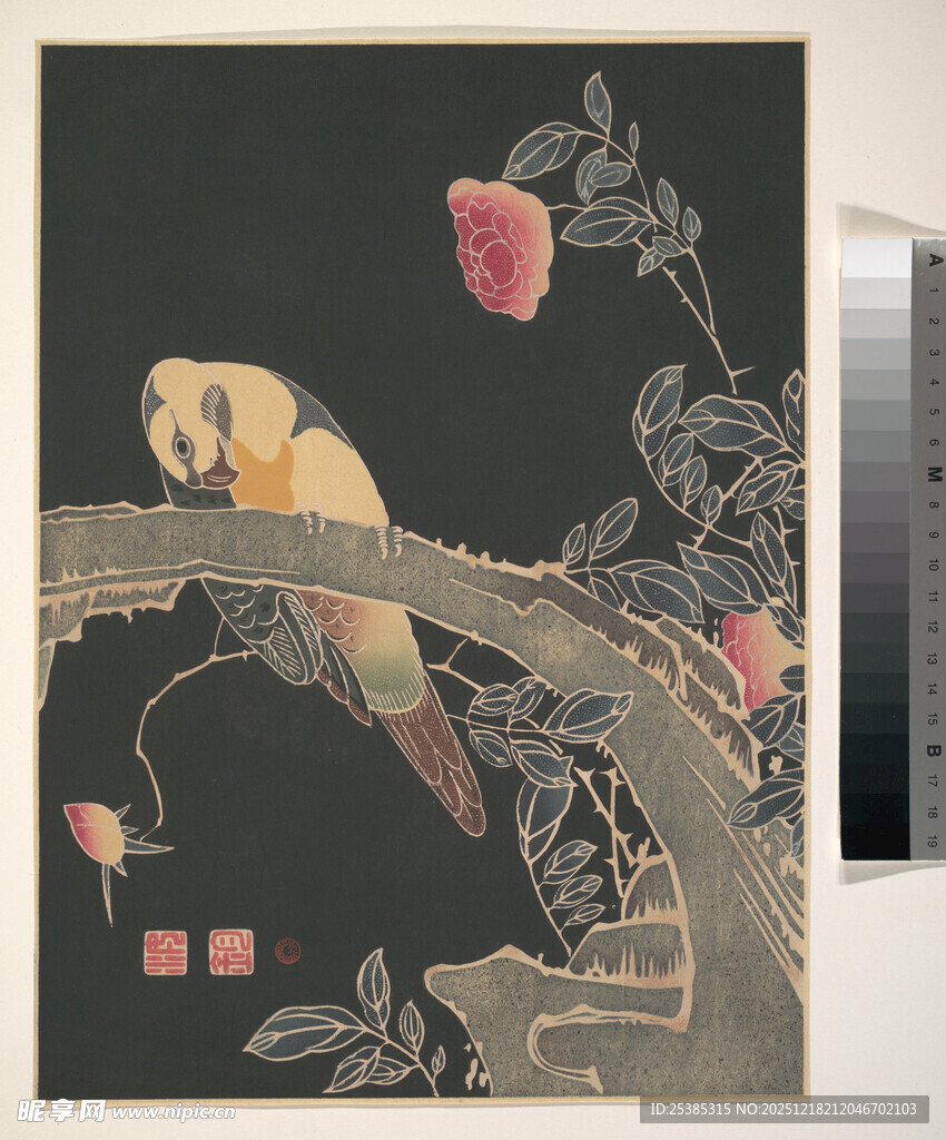 中式花鸟图鹦鹉栖于枝