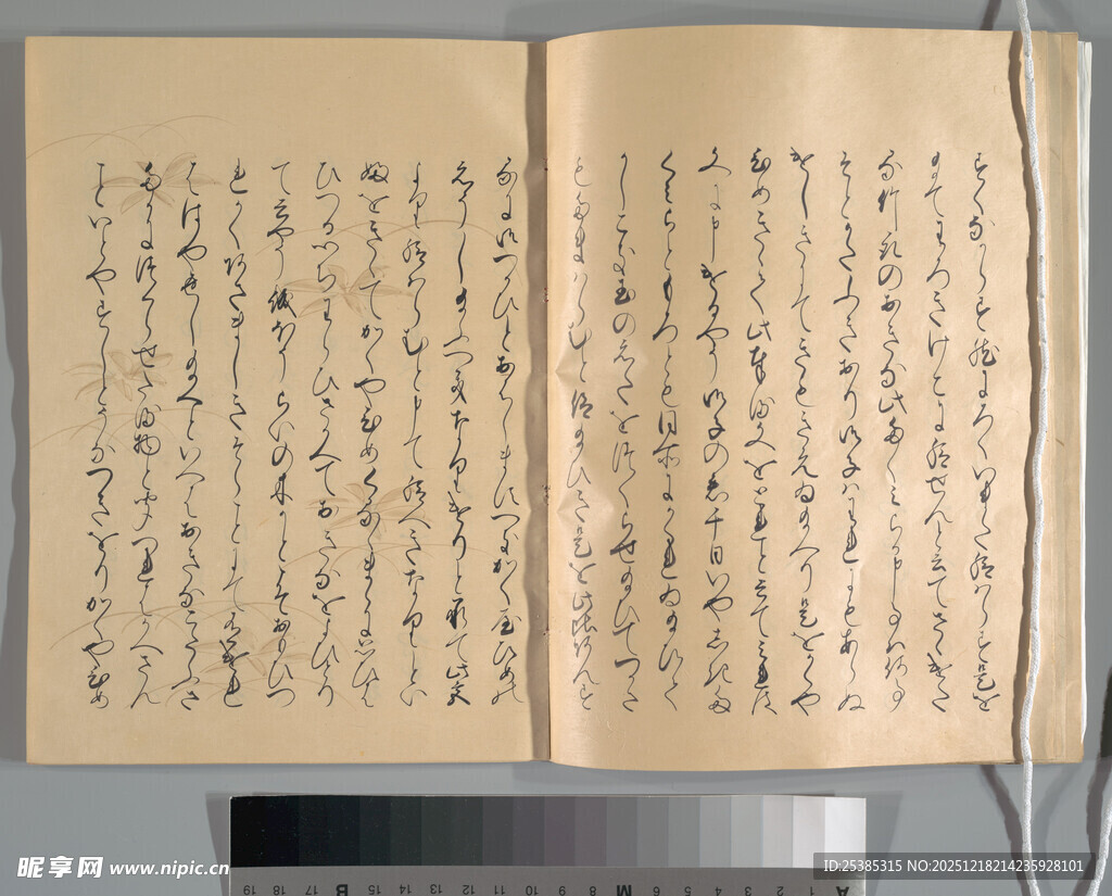 古籍书页传统书法文字展示