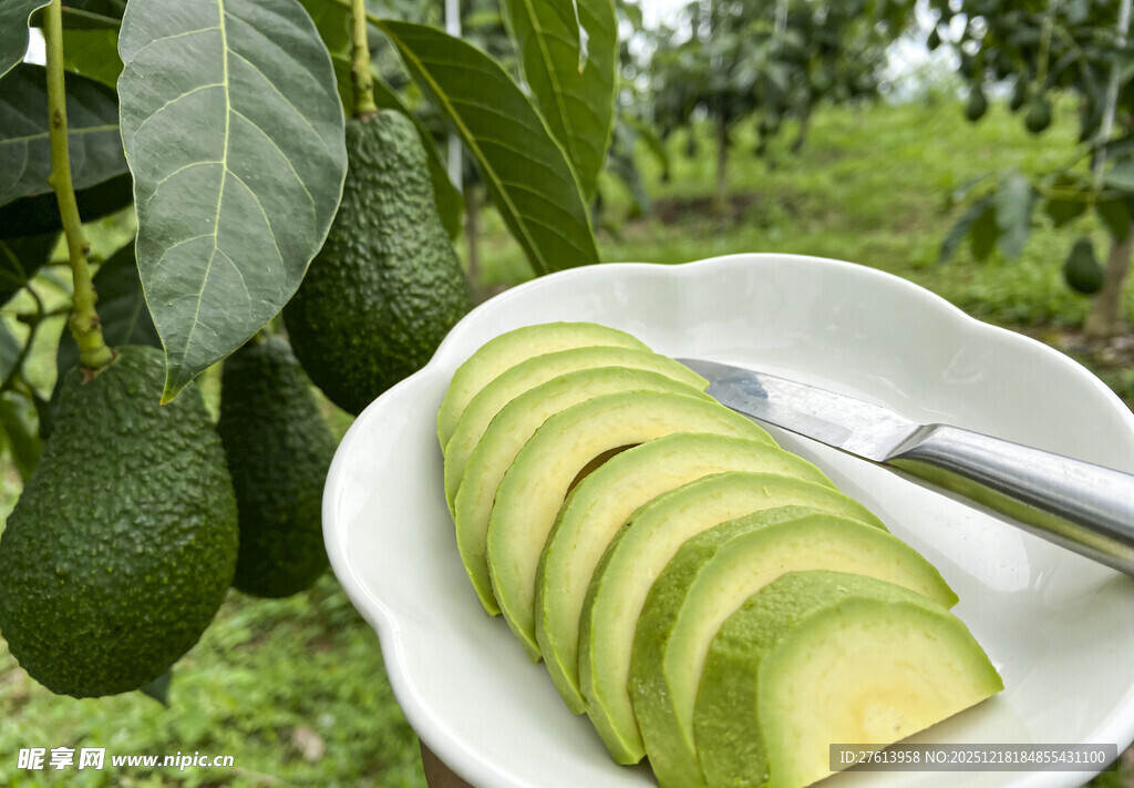 切片牛油果