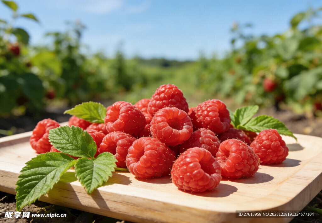 木盘上的树莓