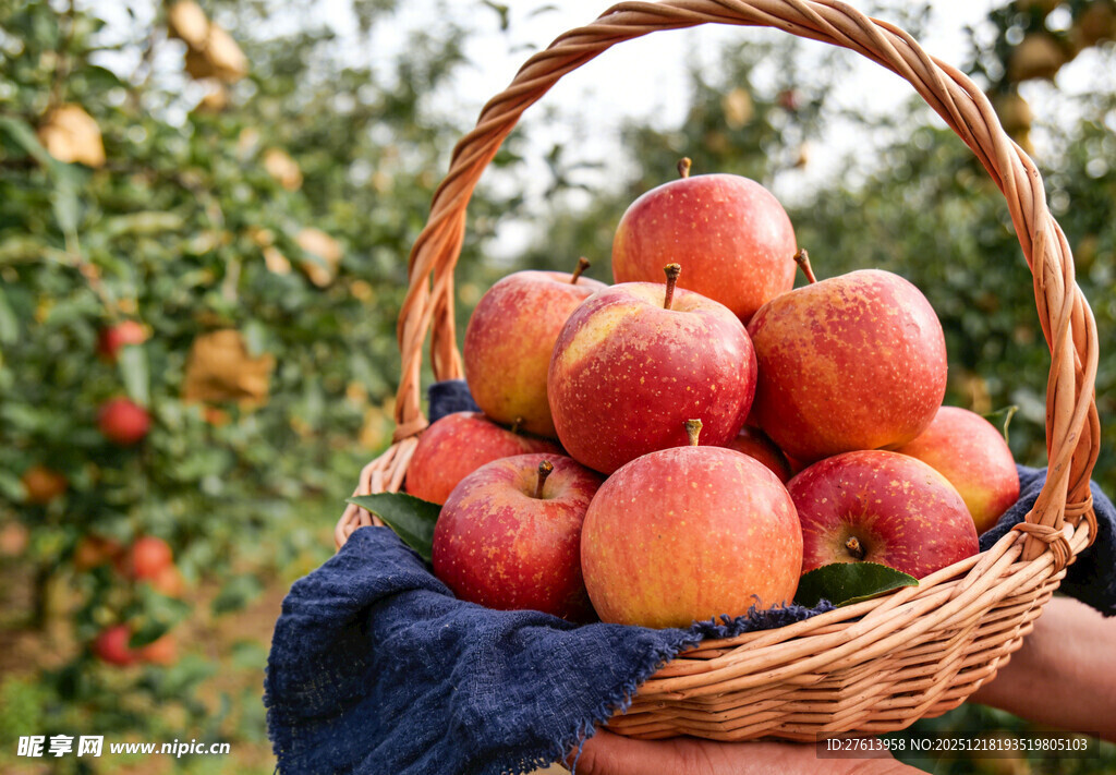 手捧篮中苹果