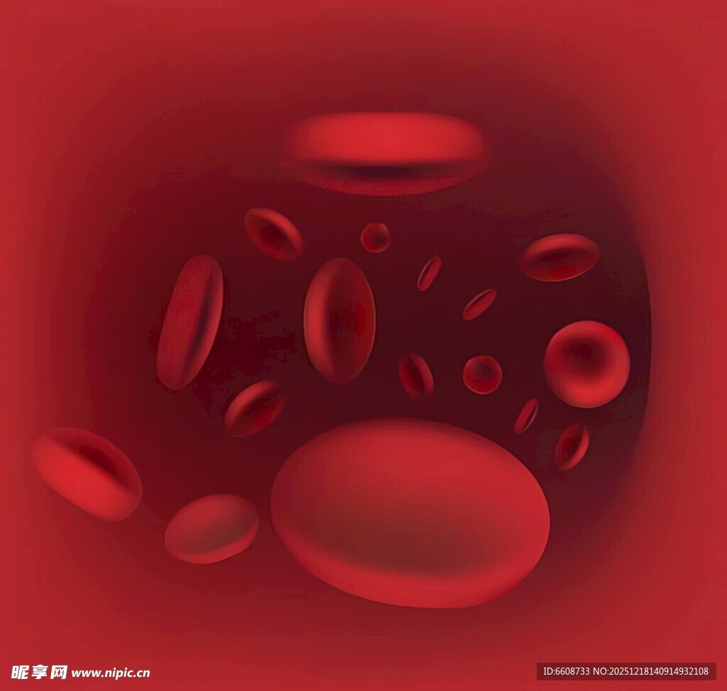 血液中的红细胞微观景象