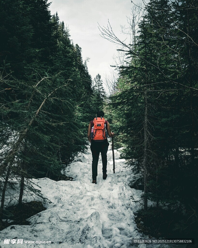 雪地林间的徒步者