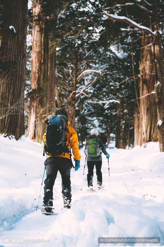 雪地林间徒步的背包客