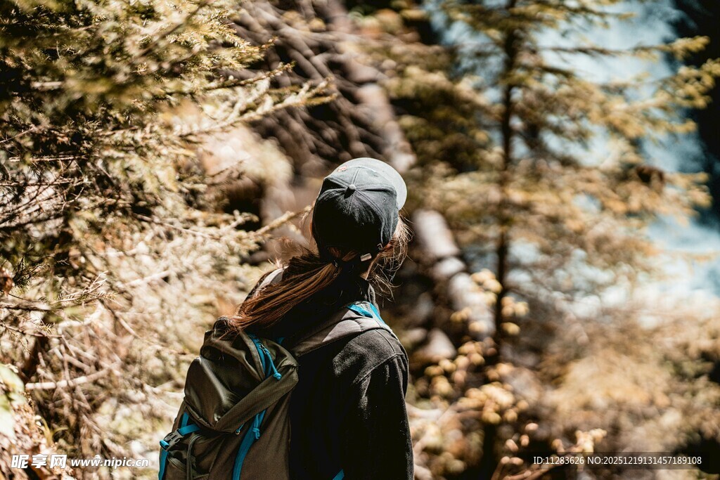 徒步者于山林间的背影