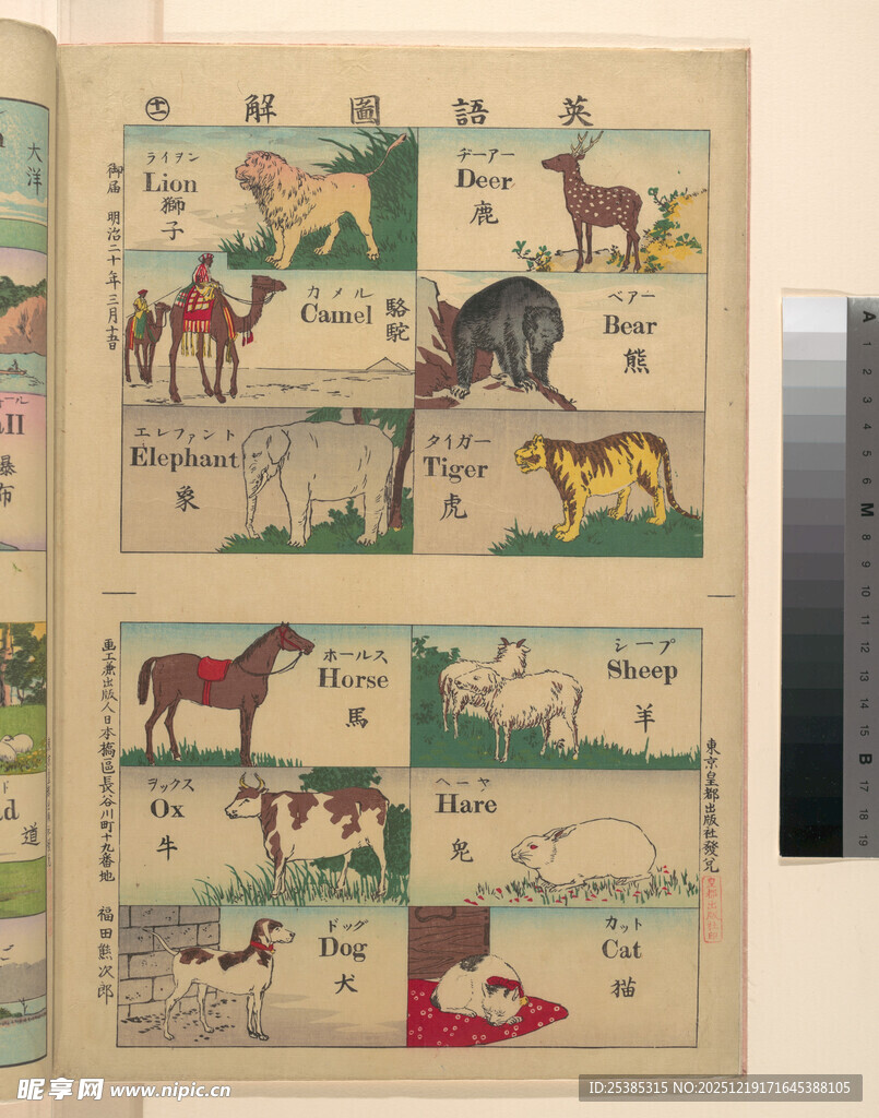 复古动物插画书籍页面