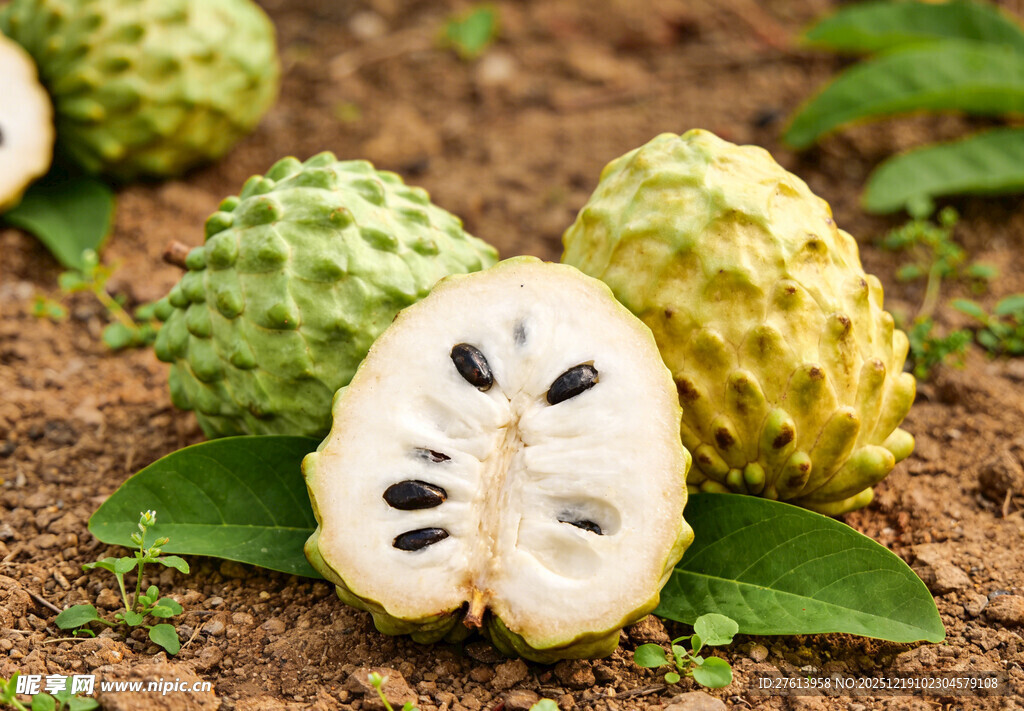 果园里的释迦果