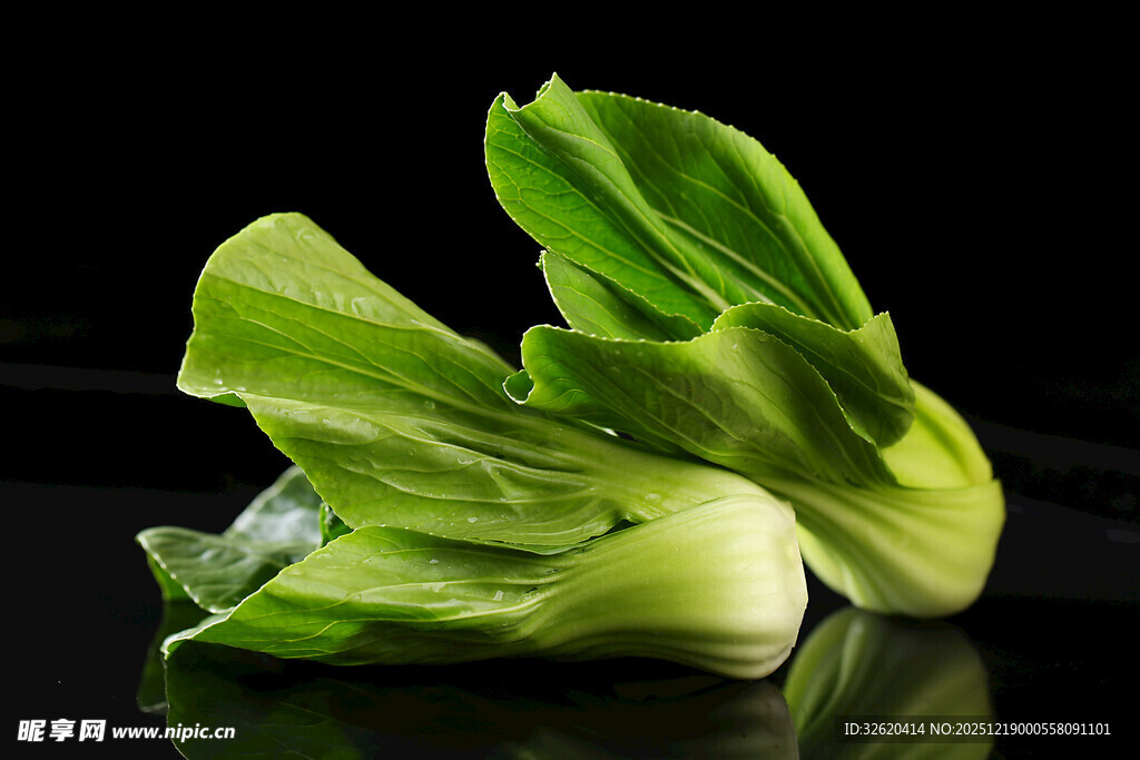 新鲜青菜