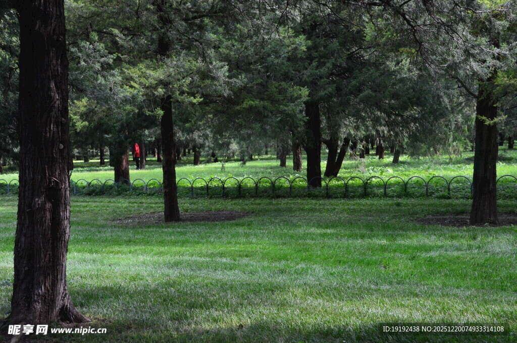 公园风景 