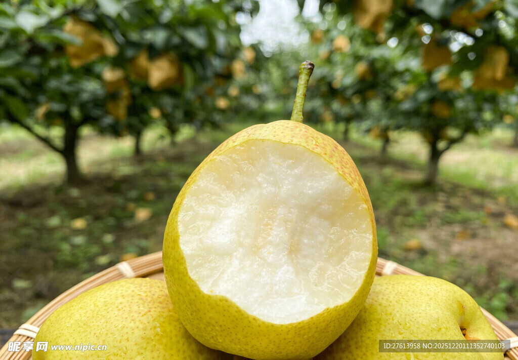 咬了一口的黄皮梨子
