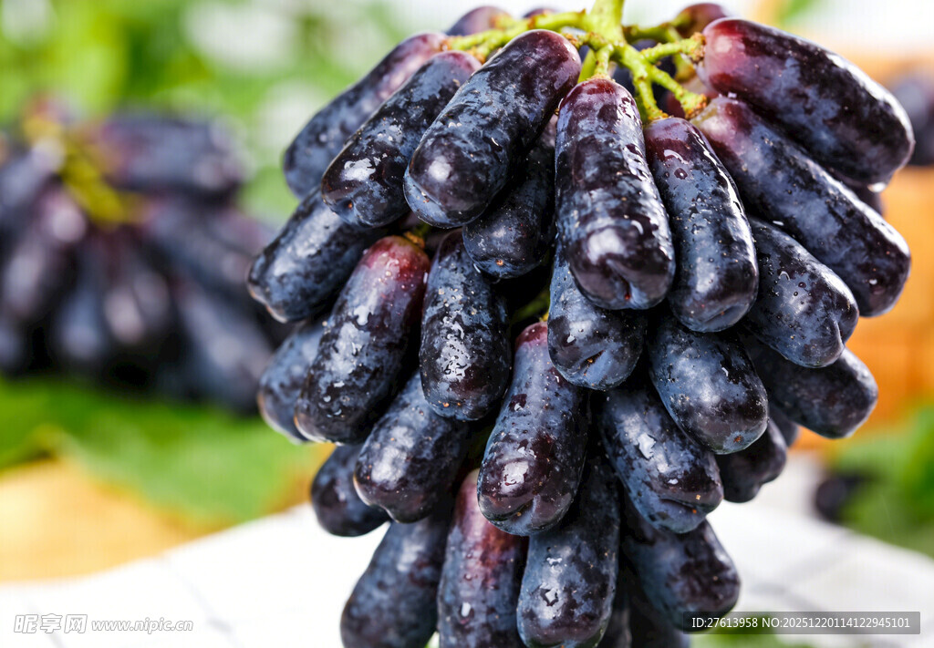 紫黑色葡萄