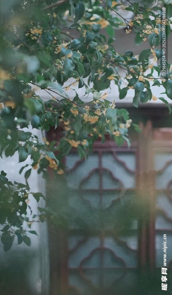 绿叶掩映下的古朴建筑