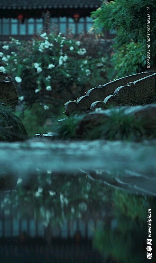 静谧溪流旁的绿意景致