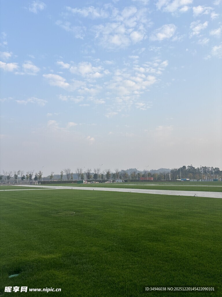 广阔绿草地与蓝天白云