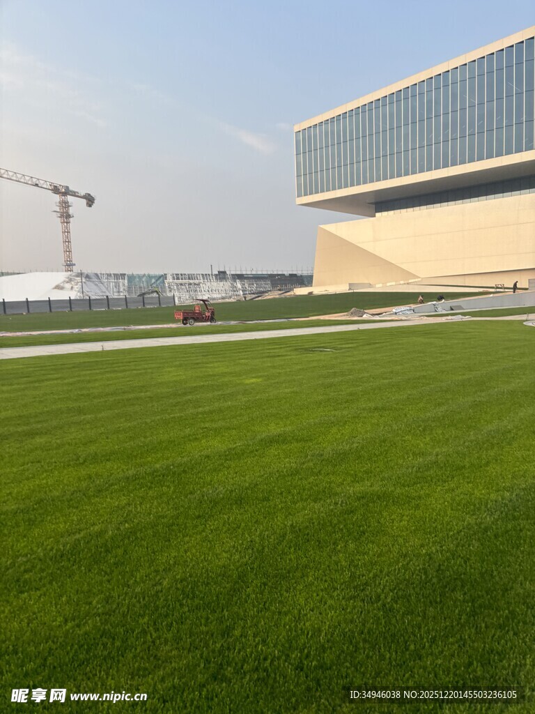 现代建筑旁的翠绿草坪