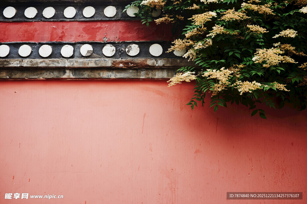 红墙绿植与圆形装饰