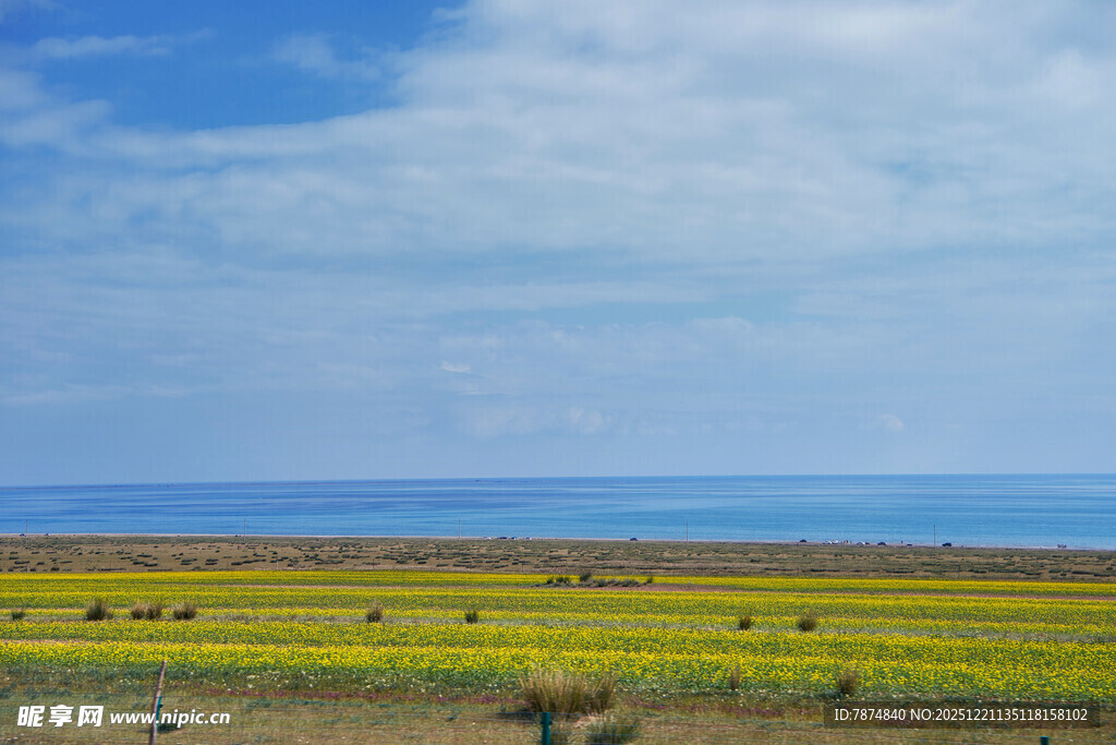 草原风光 蓝天白云下的美景