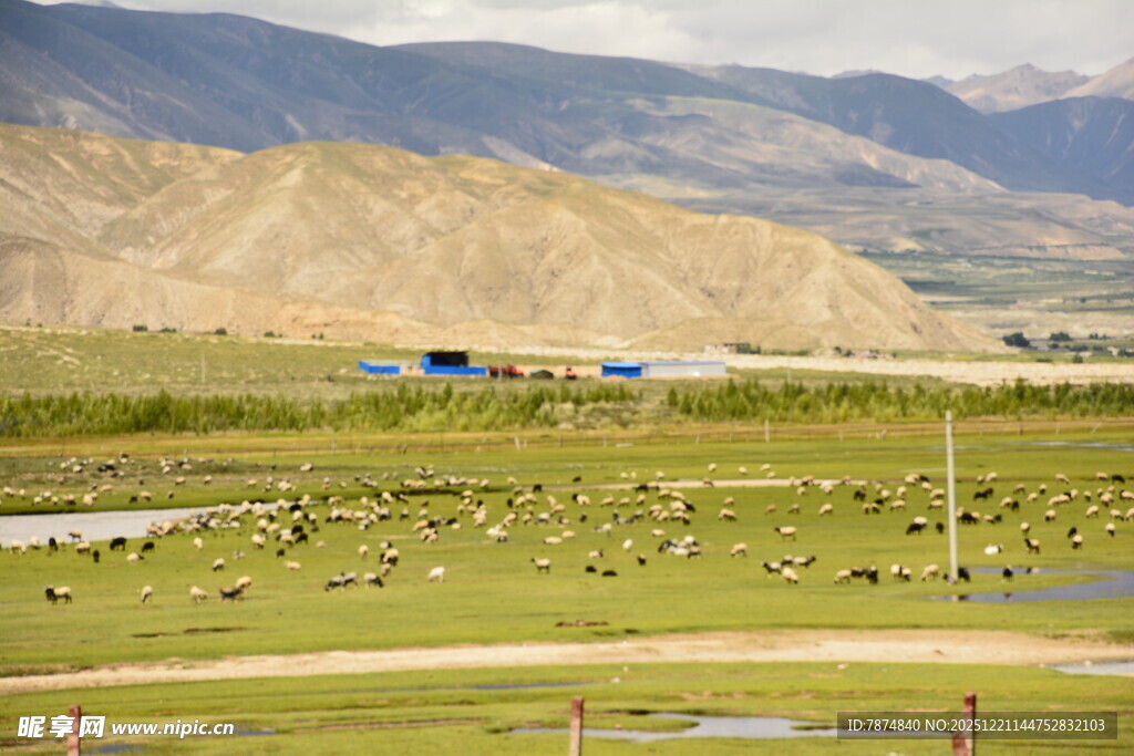 草原风光与远处山峦美景