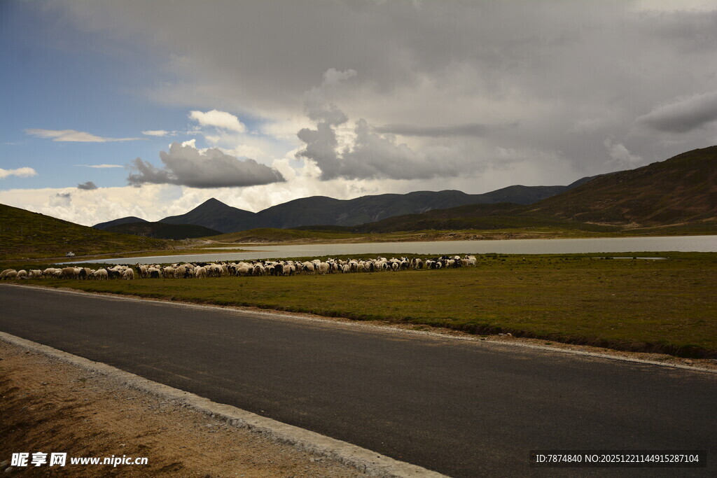 公路边的草原与远山风景