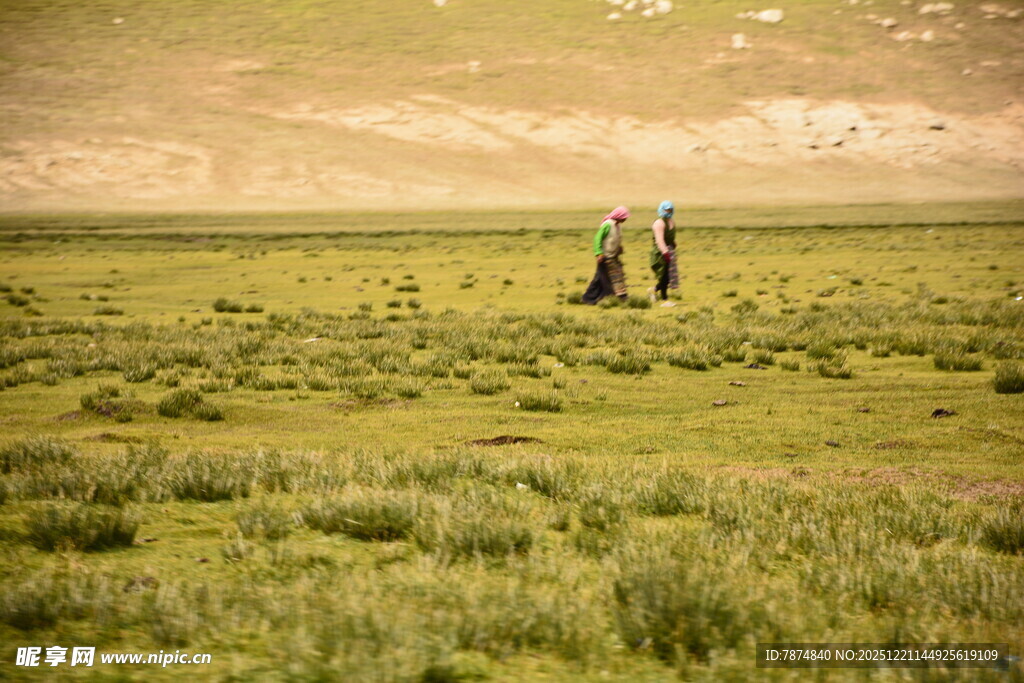 草原上的两人浪漫身影