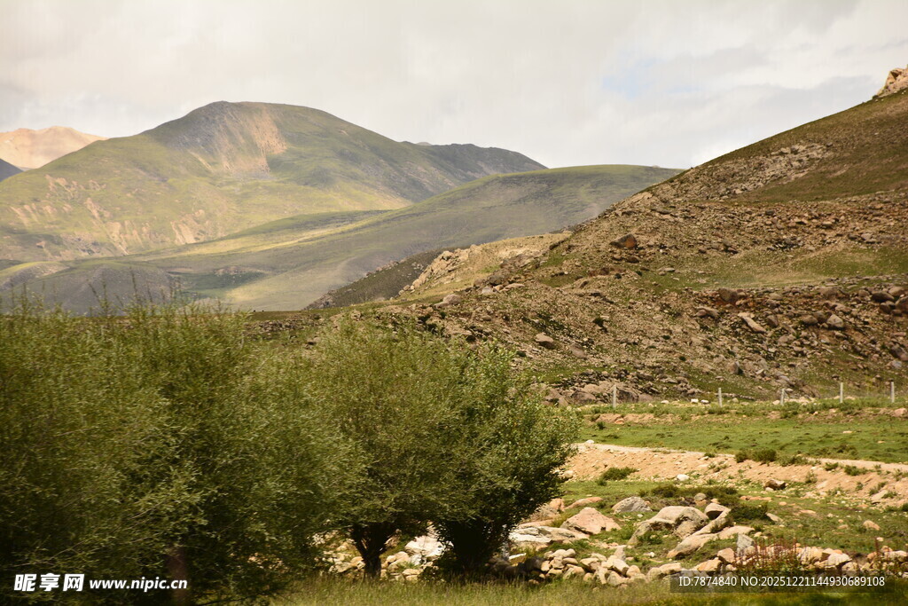 山间葱郁植被与起伏山峦