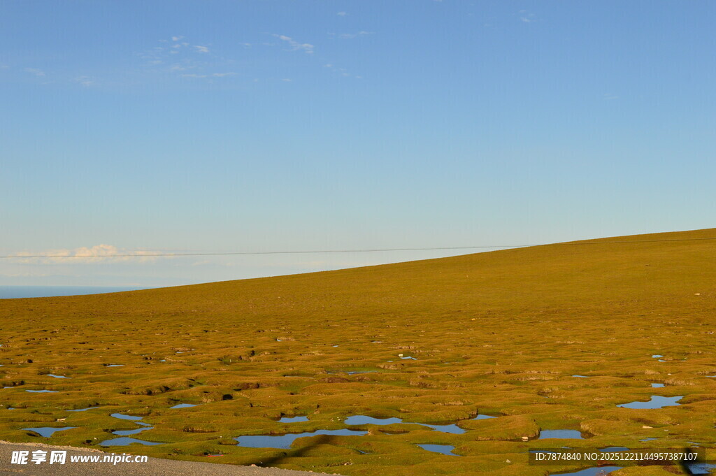 广袤草原上的零星水洼