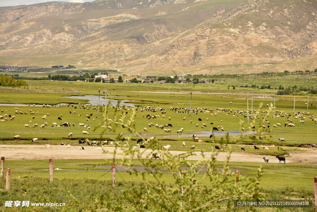 田园风光中的开阔农场景象