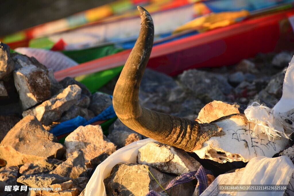 荒野中的牛角与多彩物件