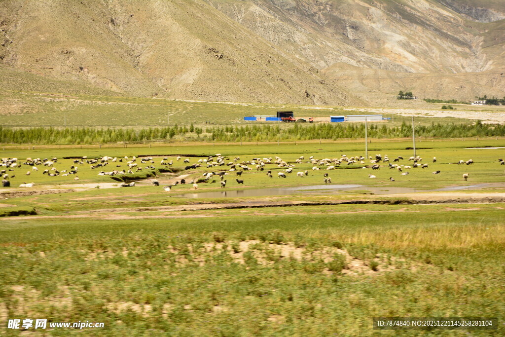 草原上的建筑与开阔风景
