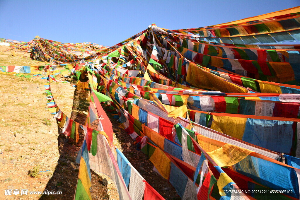 五彩经幡飘扬于旷野