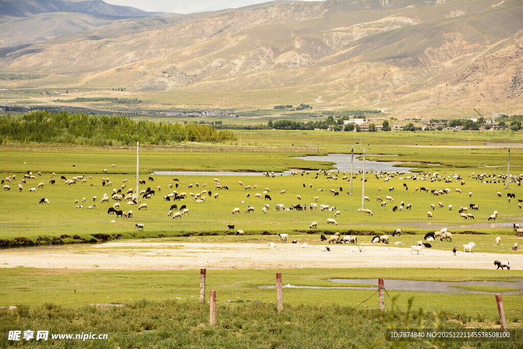 草原牧场景色如画