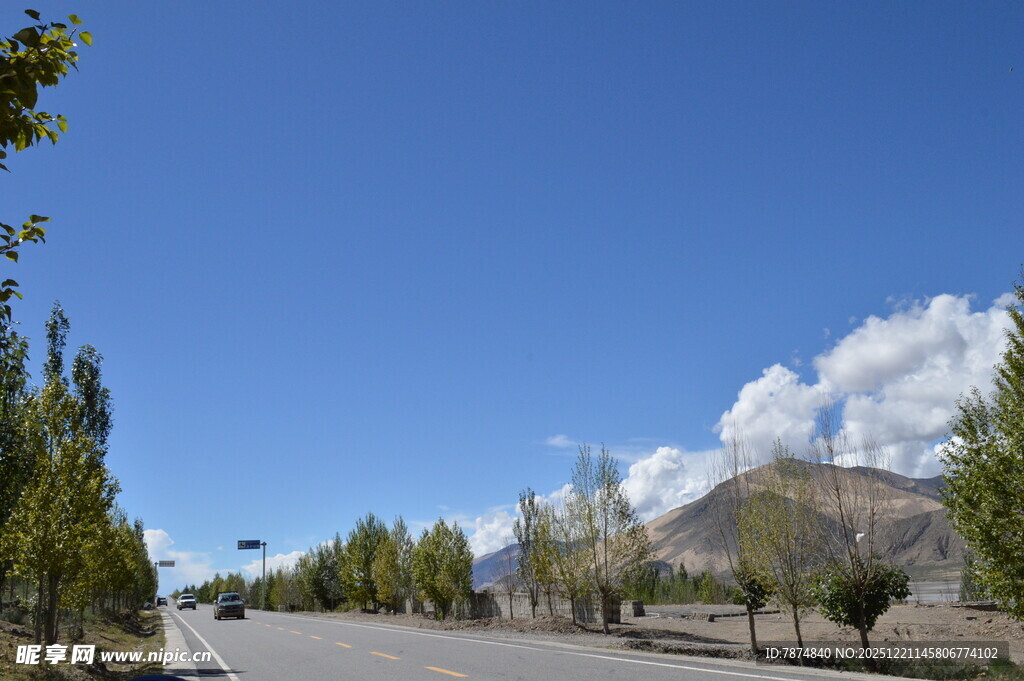 蓝天白云下的林荫道路