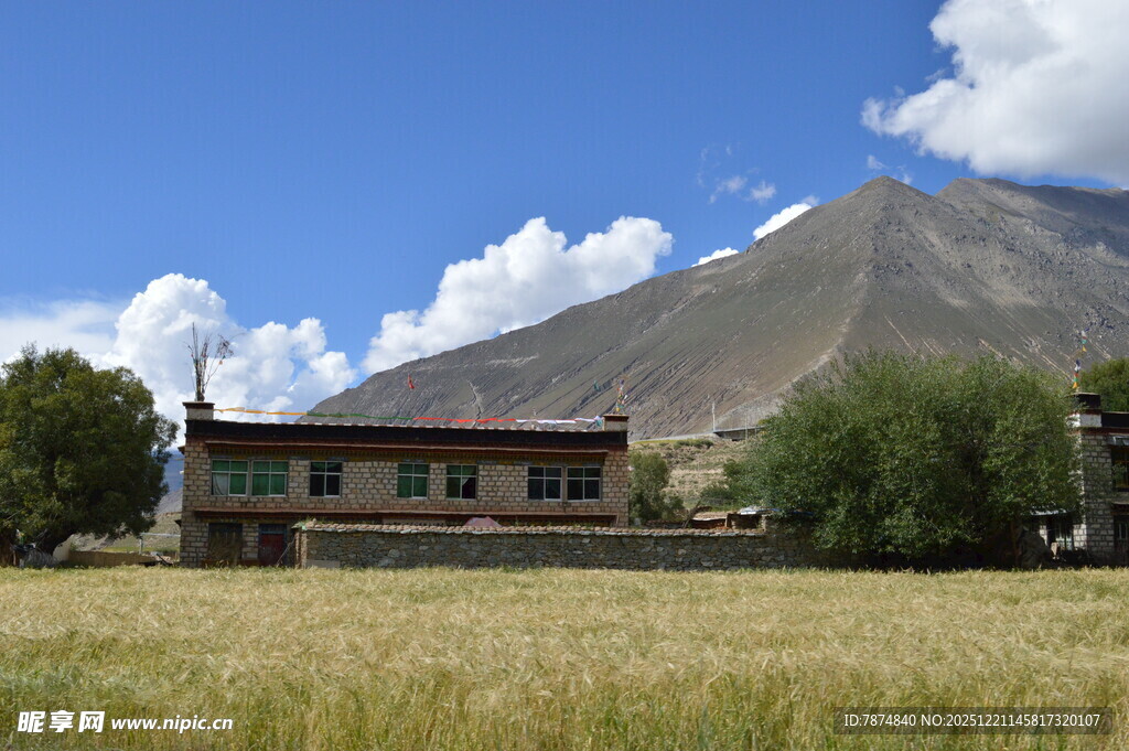 藏区田野边的特色民居