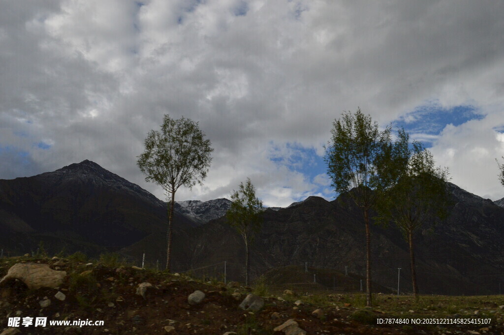 山间树木与多云天空景色