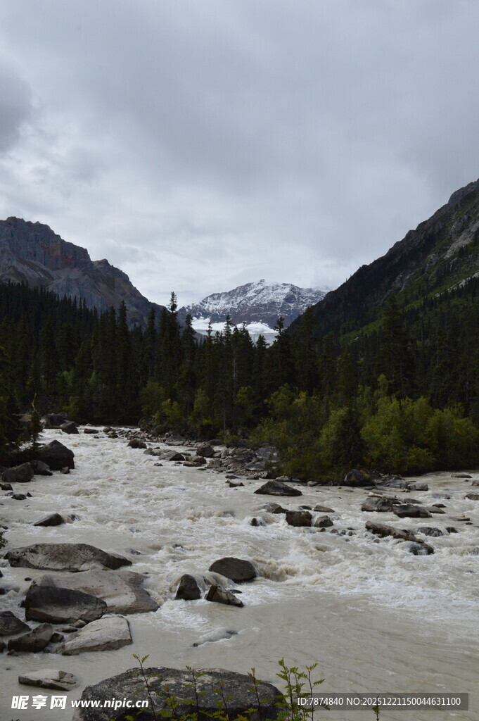 山间湍急河流与茂密植被