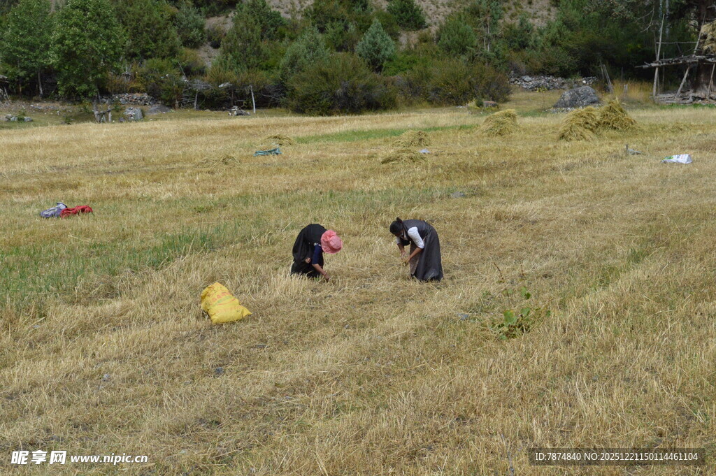 户外草地多人活动场景