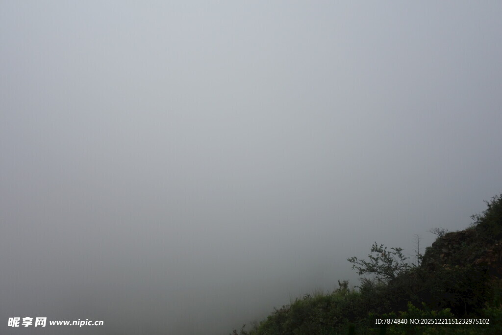 山间云雾缭绕的植被景观