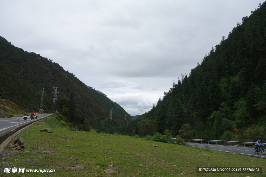山间公路旁的葱郁景致