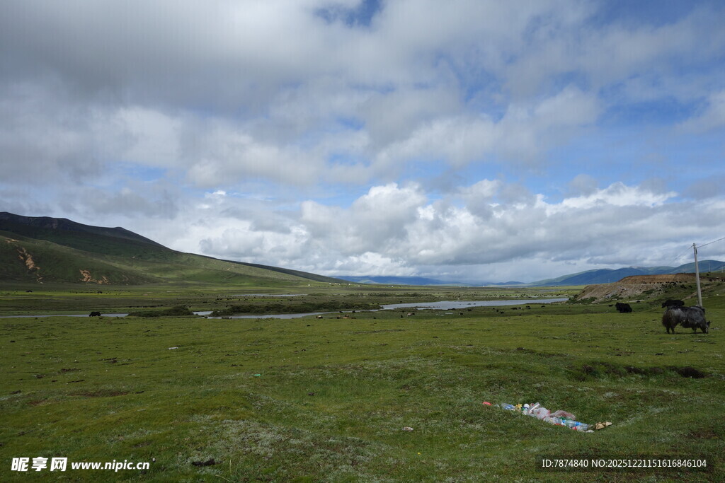 草原风光 蓝天白云绿地