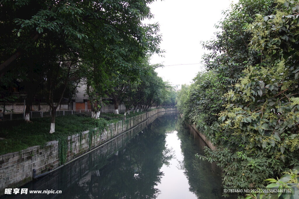 河畔绿树成荫的静谧水道