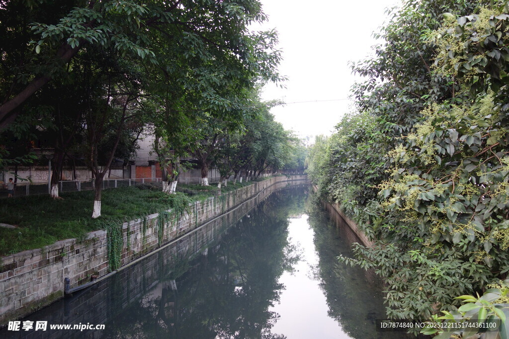 清幽河畔绿意盎然景色美