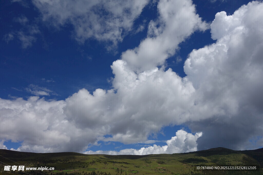 蓝天白云下的广袤原野