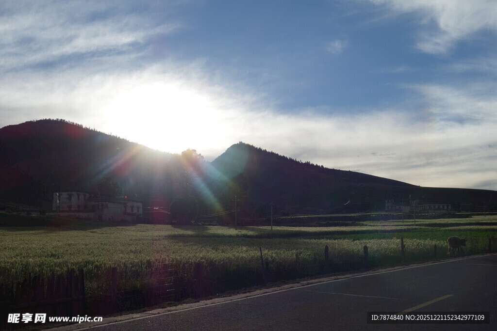 公路尽头的壮丽日出景观